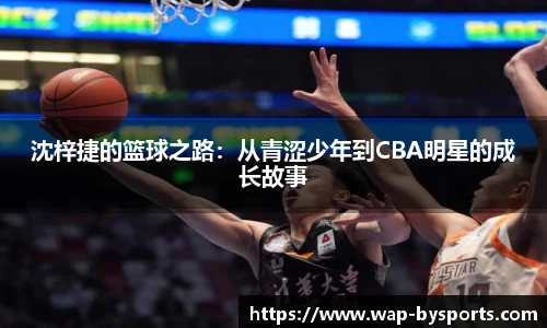 博鱼boyu体育官方网站