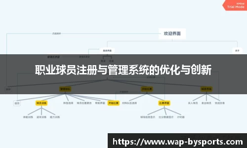 职业球员注册与管理系统的优化与创新