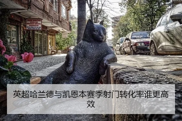ying-chao-ha-lan-de-yu-kai-en-ben-sai-ji-she-men-zhuan-hua-lv-shui-geng-gao-xiao-2-327.jpg